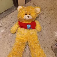 عروسک خرسی دو عدد جامدادی