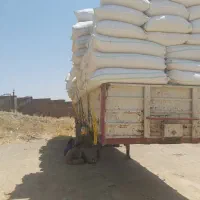 لبه تریلی دو محور دستگاه bp|خودرو سنگین|بیستون, |دیوار