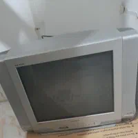 تلویزیون