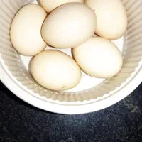 تخم مرغ مینیاتوری