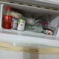 یخچال جنرال استیل|یخچال و فریزر|رشت, دیانتی|دیوار