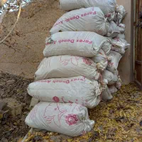 کود کبوتر|گل و گیاه طبیعی|مهریز, |دیوار