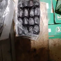 ۳۴۰ کارتن خرما سه ردیف باغ دشت