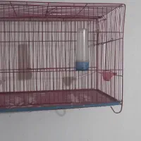 قفس پرنده سهره و قناری