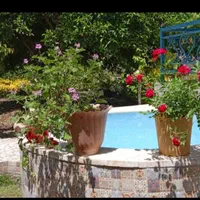 ویلایی دنج با محیطی امن برای خانواده|اجارهٔ کوتاهمدت ویلا و باغ|قائمشهر, |دیوار