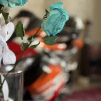 cbr1000 cb1300|موتورسیکلت|فشم, |دیوار