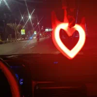 قلب شاخ دار(سوریکاوا)