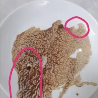 فال قهوه تاروت لنورماند