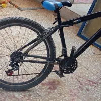 دوچرخه|دوچرخه، اسکیت، اسکوتر|کاکی, |دیوار