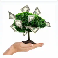 سرمایه گذاری شراکت.مقدار سه ملیارد دارم