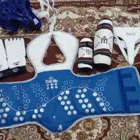 هوگو تکواندو