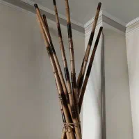 نی بامبو ۹عدد باهم  ارتفاع ۲متر