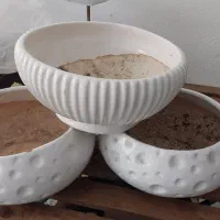 گلدان سایزبزرگ
