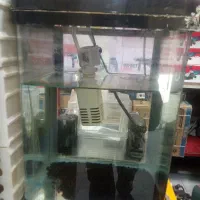 آکواریوم کامل با ماهی