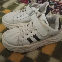 کفش مردانه و زنانه قیمت مناسب