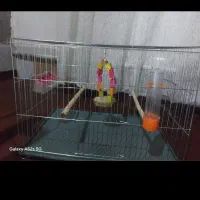 قفس پرنده