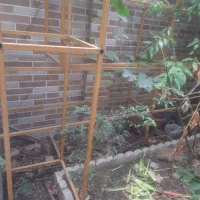 قفسه مغازه چهارعدد قوطی۲/۵*۲/۵تخفیف دارد|فروشگاه و مغازه|مینودشت, |دیوار