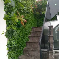 درخت شکوفه.گرین وال ..ترموود