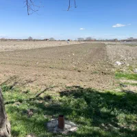 اجاره زمین زراعی جاده هفت چشمه