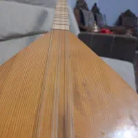 دیوان خوش صدا سالم|سازهای سنتی|سنندج, |دیوار