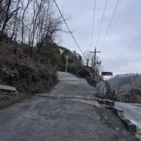 مشارکت و تهاتر ۳۰۰۰ متری در رامسر ( اربکله)|مشارکت در ساخت املاک|رامسر, |دیوار