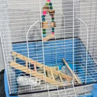 قفس پرنده|لوازم جانبی حیوانات|درگهان, |دیوار