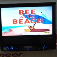 ظبط ایندش 6850 پایونر|قطعات یدکی و لوازم جانبی|محمدشهر, محمدشهر|دیوار