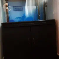 آکواریوم