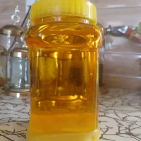 روغن بز