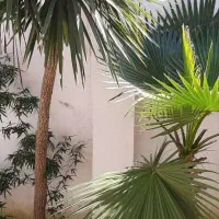 زمین-مسکونی-روستای-زیبای-طش