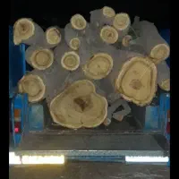 خریدار انواع چوب