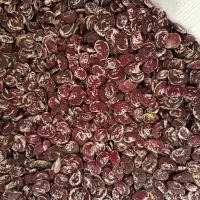 انواع لوبیا و حبوبات|خوردنی و آشامیدنی|ایلام, |دیوار