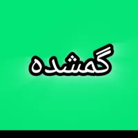 دستبند طلا گمشده