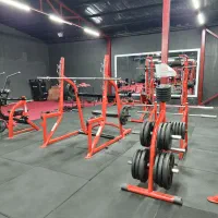 باشگاه بدنسازی|تجهیزات ورزشی|تایباد, |دیوار