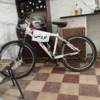 دوچرخه ویوا نو