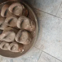 ترازو سنگی قدیمی کلکسیونی