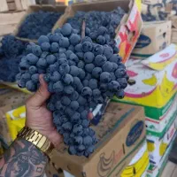 انگور سر دشت|خوردنی و آشامیدنی|تهران, میدان میوه و تره‌بار مرکزی|دیوار