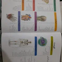 دانشنامه بدن انسان