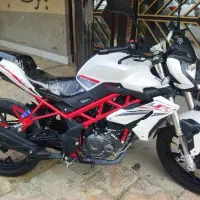 بنلی نیوفیس (مدارک تکمیل)