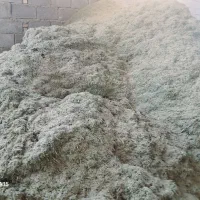 یونجه