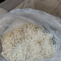 برنج دم سیاه