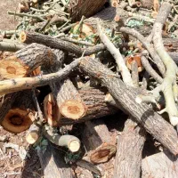 کلیه امورباغبانی وزراعی واحداث باغ وباغچه