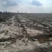 فروش ۴۸۰۰ متر زمین در ترشنبه