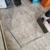 پارک سگ