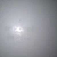 آرکوپال فرانسه مرد کماندار گل فلو|ظروف سرو و پذیرایی|کرج, اصفهانیها|دیوار