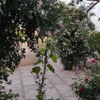اجاره روزانه/هفتگی/ماهانه ویلا ۱۰۰۰ متری|اجارهٔ کوتاه‌مدت ویلا و باغ|جوادآباد, |دیوار