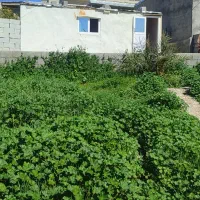 کانکس 15متری