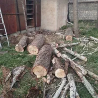 چوب|خدمات باغبانی و درختکاری|دورود, |دیوار