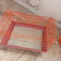 قفس و وسایل بازی