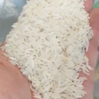 برنج هاشمی درجه یک،به صورت عمده و خرده